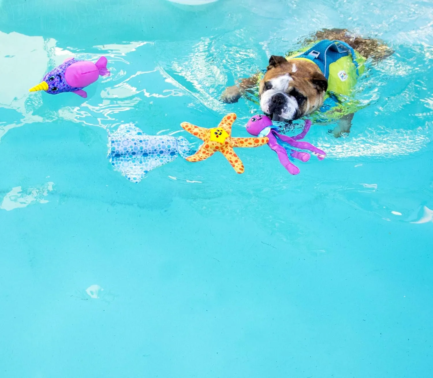Outward Hound Floatiez Crab Floating Dog Toy, Medium