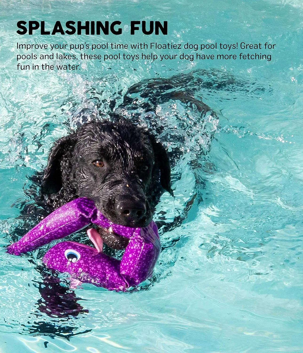 Outward Hound Floatiez Crab Floating Dog Toy, Medium