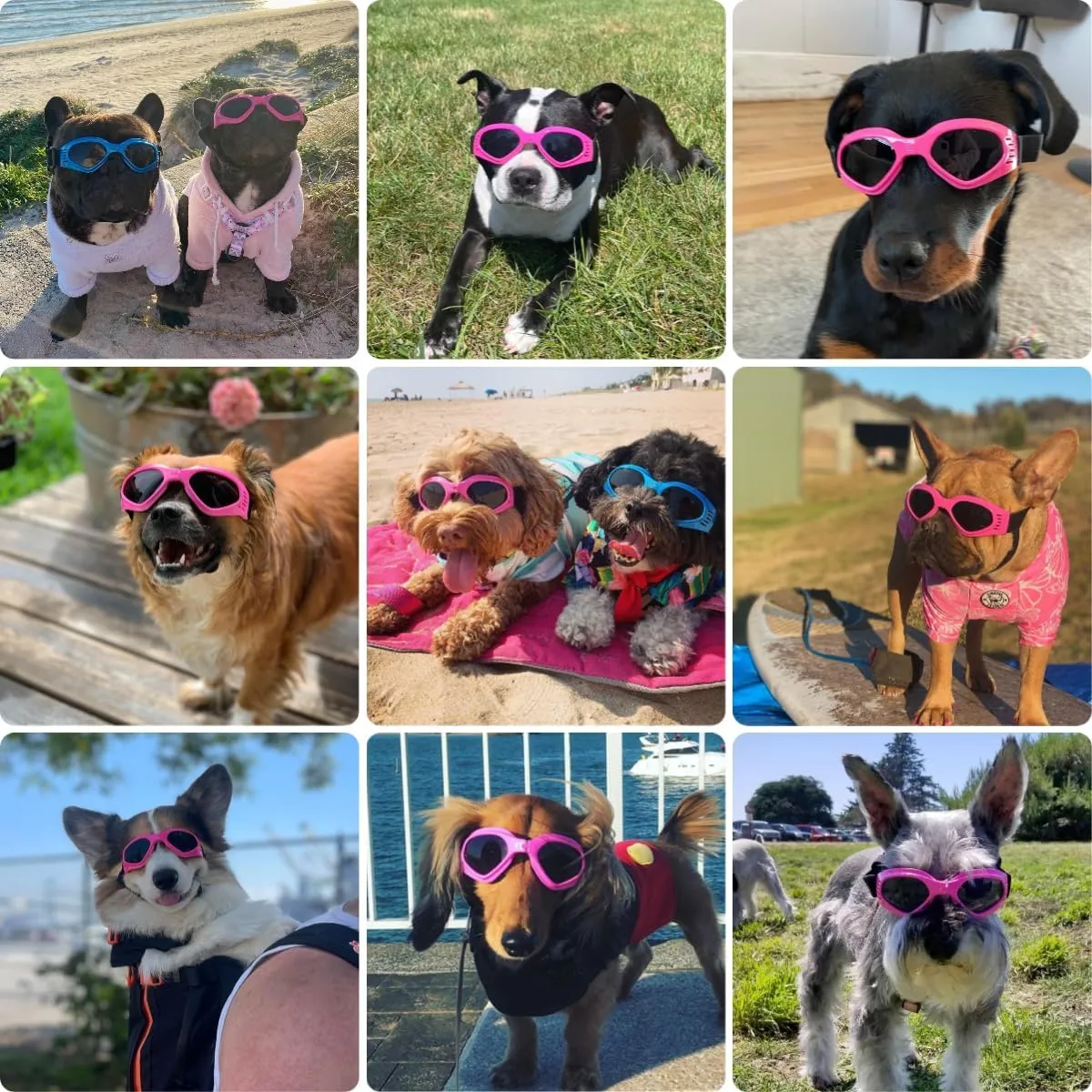 Petleso Dog Goggles Medium Breed, Pet Sunglasses for Medium Dogs Eye Protection Windproof, Pink