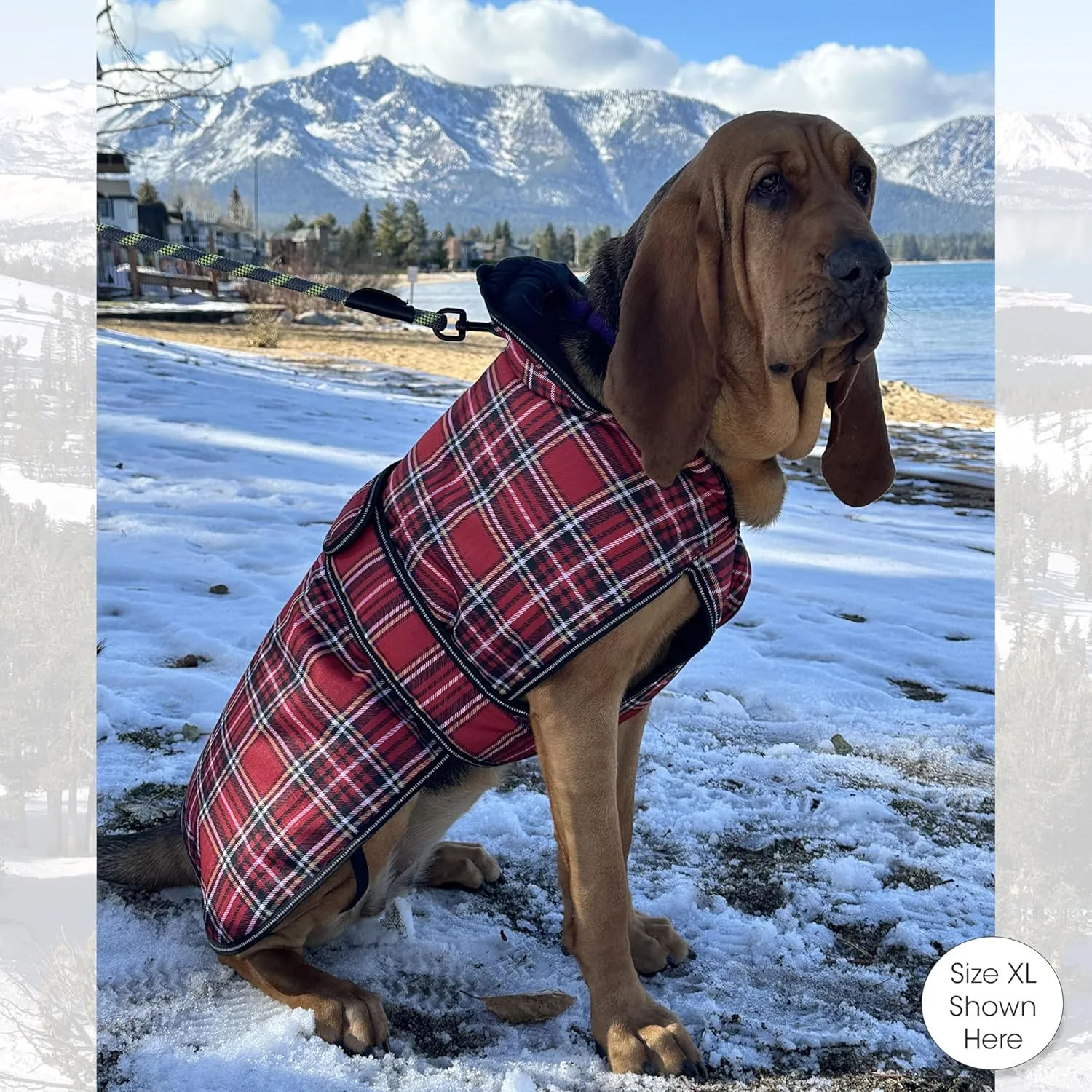 PetRageous 438RPXL Kodiak Heavyweight Waterproof Winter Coat With Full Chest Coverage and Leash Opening for X-Large Dogs, Red Plaid