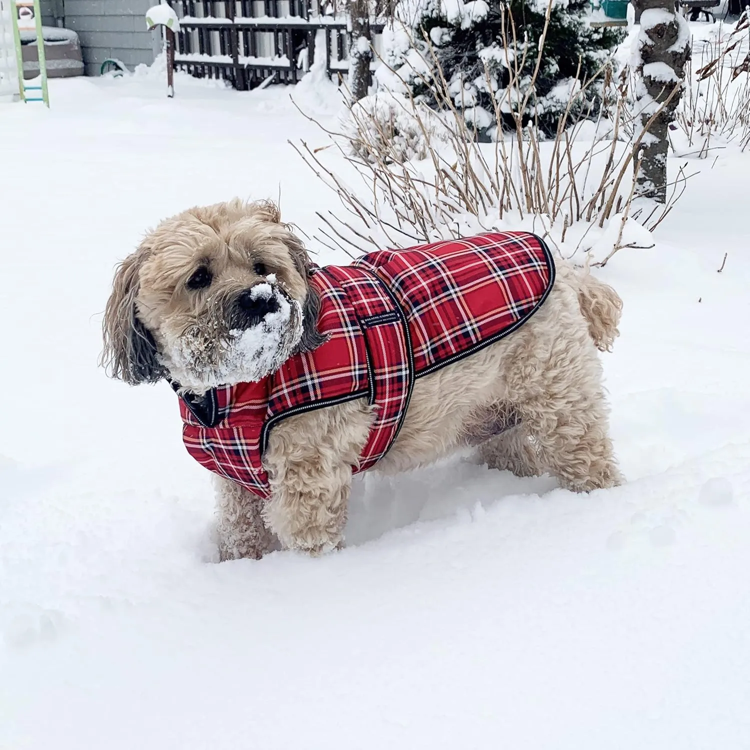 PetRageous 438RPXL Kodiak Heavyweight Waterproof Winter Coat With Full Chest Coverage and Leash Opening for X-Large Dogs, Red Plaid