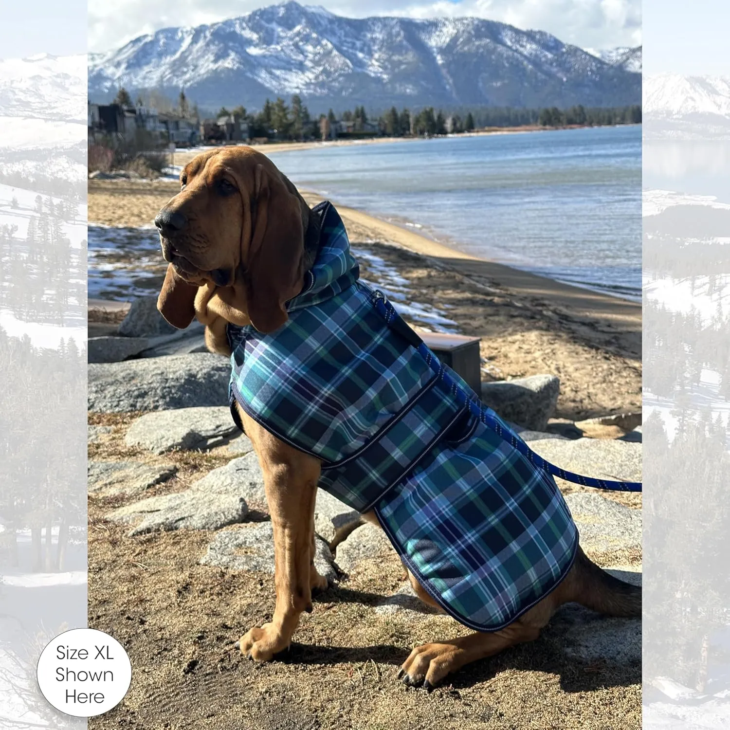 PetRageous 438TXL Kodiak Waterproof Winter Coat With Full Chest Coverage, Leash Opening, 23-Inch Long Heavyweight Jacket for X-Large Dogs, Teal Plaid