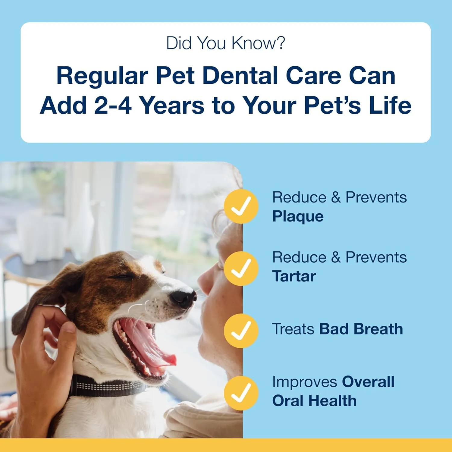 ProDen PlaqueOff System Dental Care Bones - Dog Teeth Cleaning Bones for Oral Hygiene -Medium/Large Canine Formula - Bacon Flavor -17 oz(Packaging May Vary)