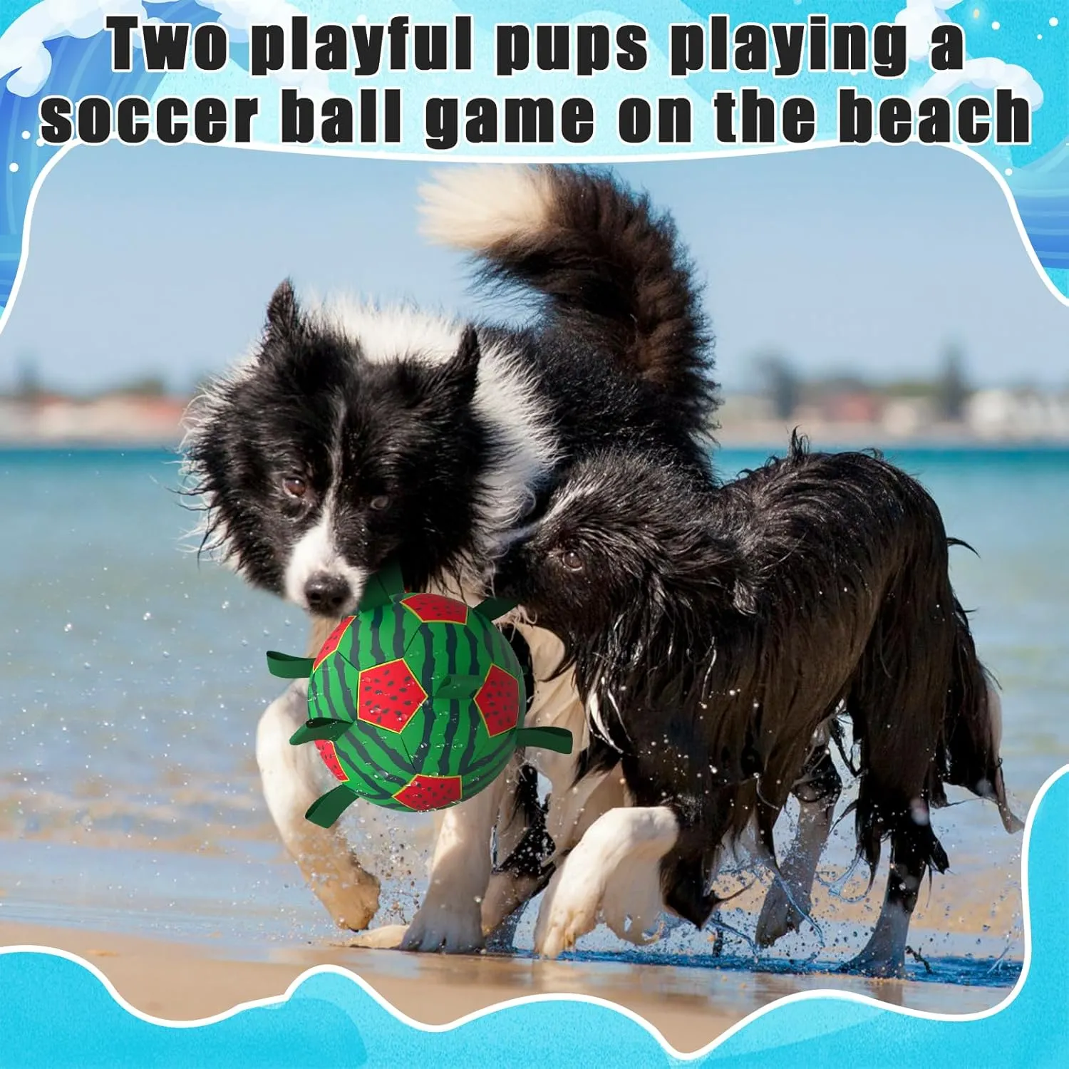 QDAN Dog Water Toys, Waterproof Dog Pool Toys, Watermelon Ball Swimming Beach Balls for Summer Outdoor Games (8 inch)