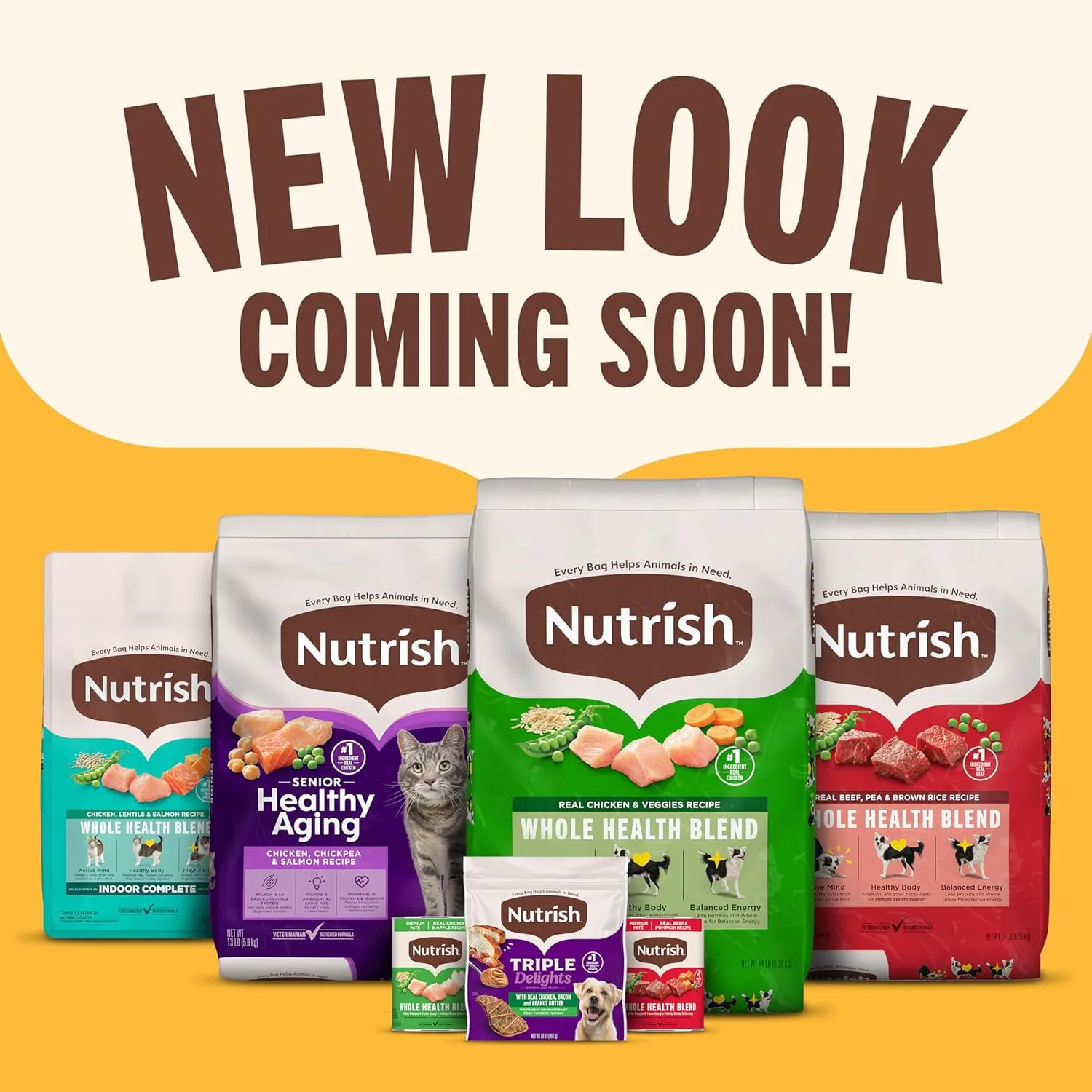 Rachael Ray Nutrish Indoor Complete Premium Natural Dry Cat Food, Chicken with Lentils & Salmon Recipe, 14 Pounds (Packaging May Vary) (1826690300)