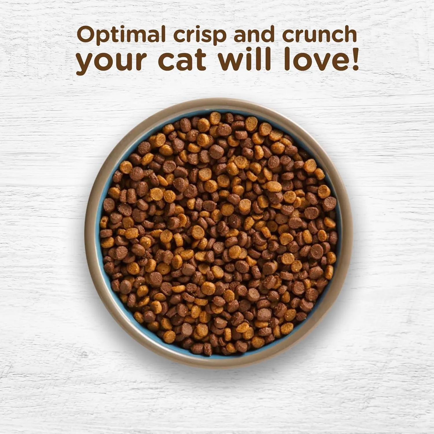 Rachael Ray Nutrish Indoor Complete Premium Natural Dry Cat Food, Chicken with Lentils & Salmon Recipe, 14 Pounds (Packaging May Vary) (1826690300)