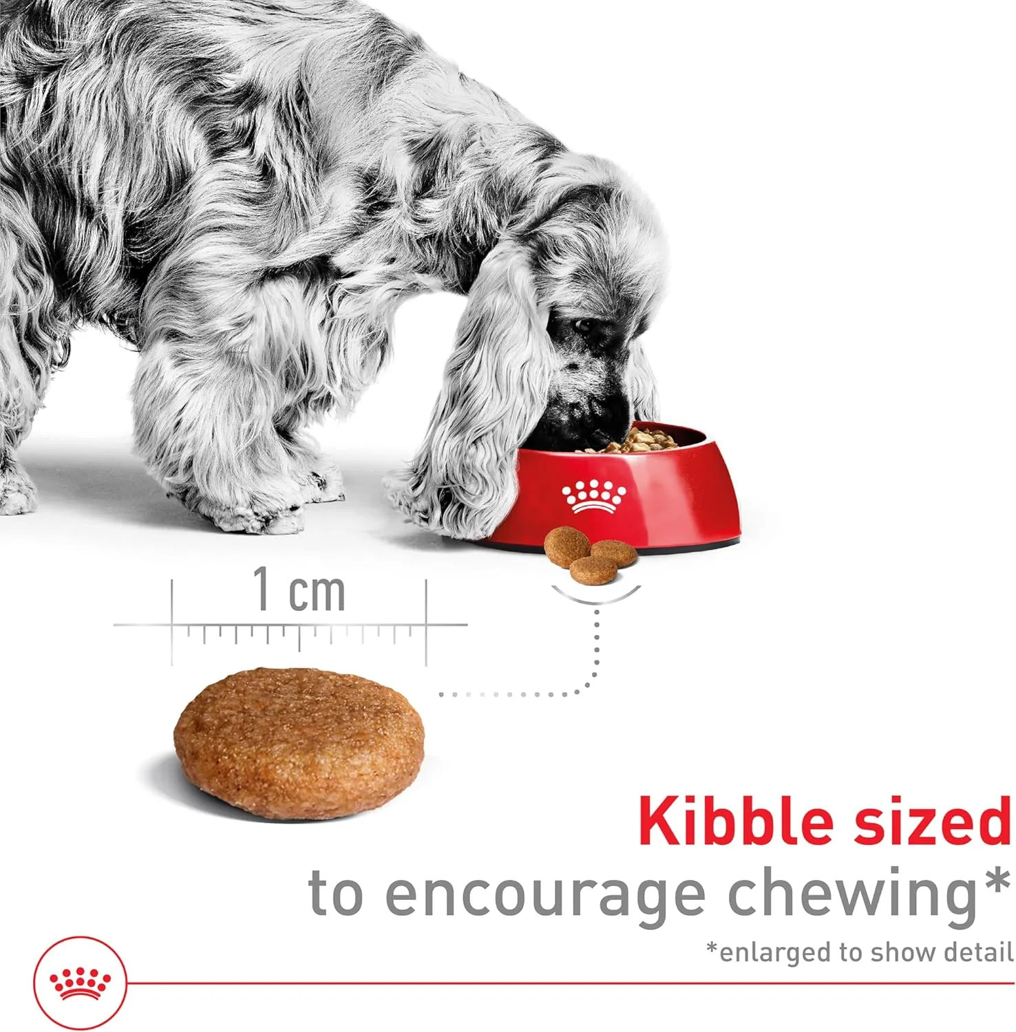 Royal Canin Size Health Nutrition Medium Adult Dry Dog Food, 30 lb bag