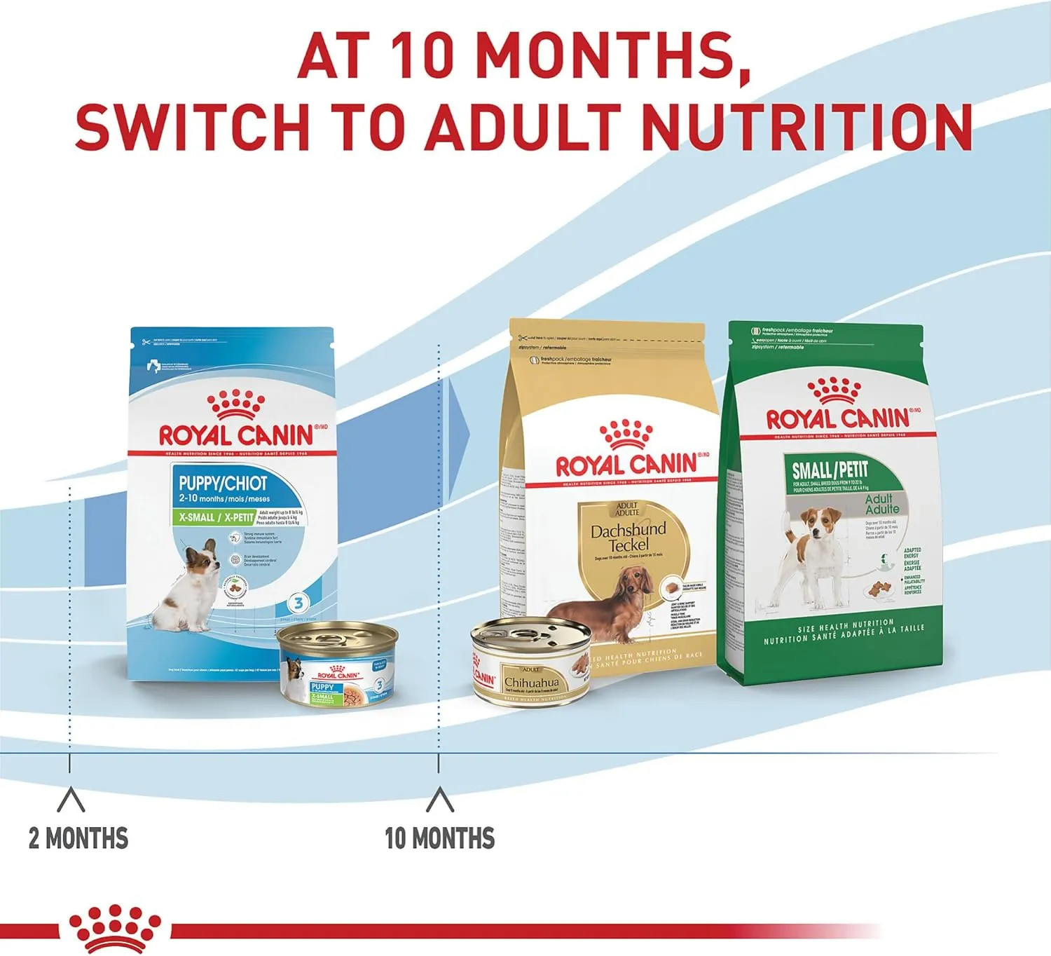 Royal Canin Size Health Nutrition X-Small Puppy Thin Slices in Gravy Wet Dog Food, 3 oz can 12-Pack
