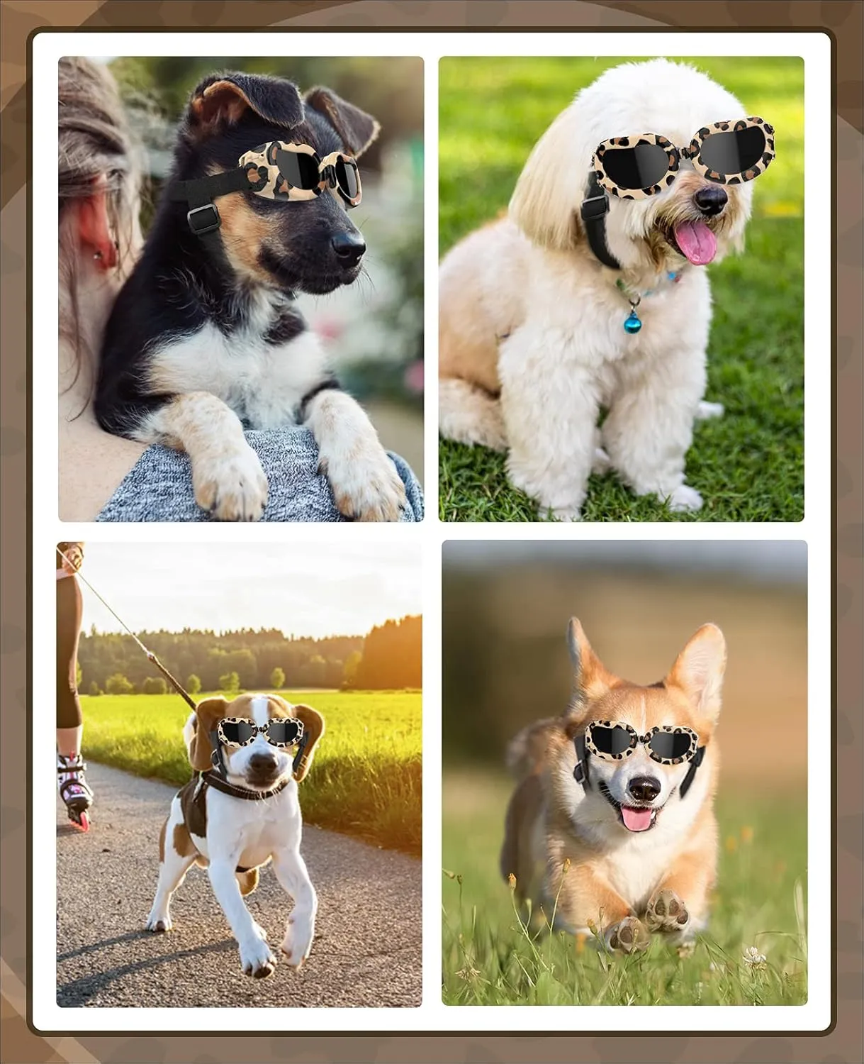 Small Breed Dog Goggles with UV Protection, Adjustable Strap, Windproof & Anti-Fog
