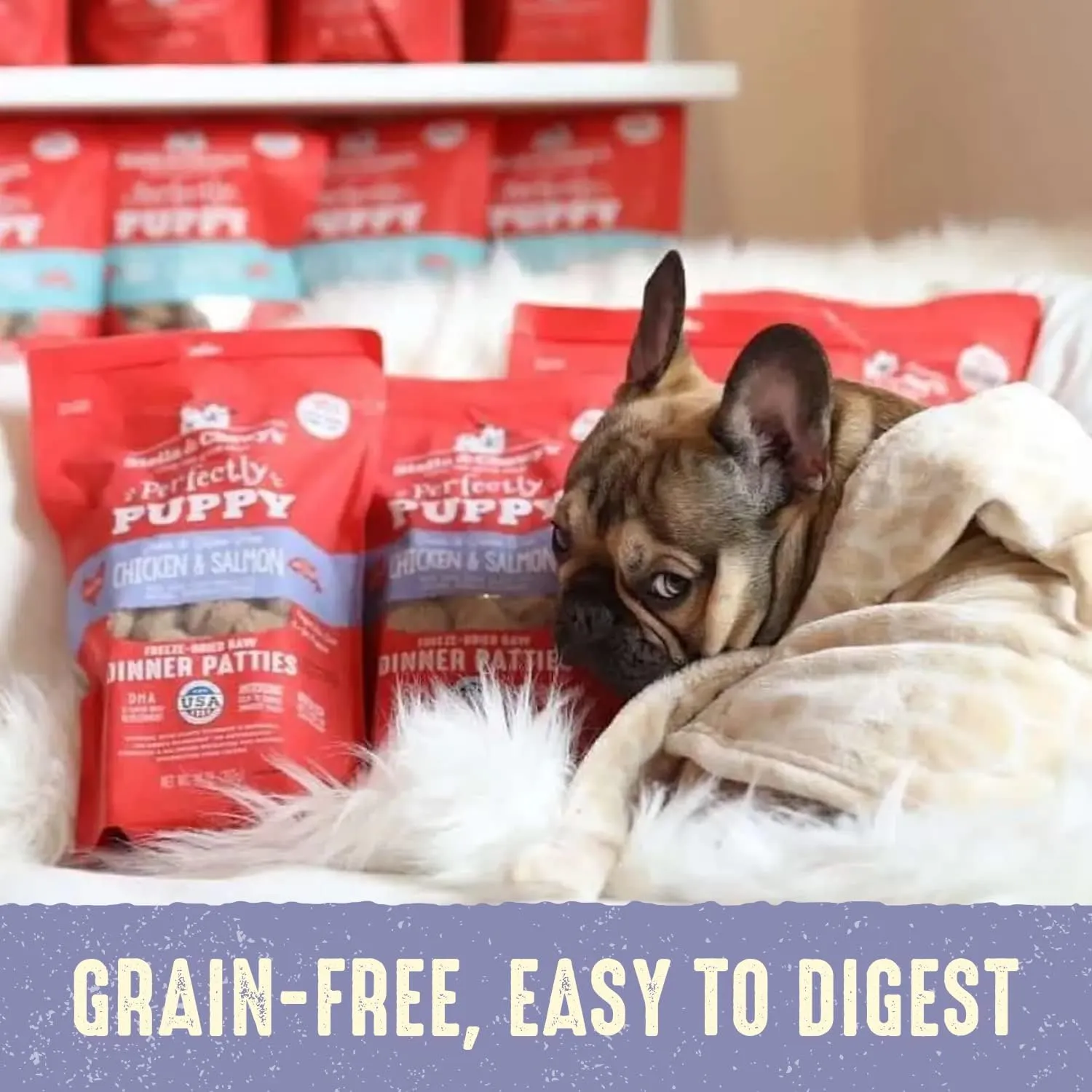Stella & Chewy's Freeze Dried Raw Dinner Patties  Crafted for Puppies  Grain Free, Protein Rich Perfectly Puppy Chicken & Salmon Recipe  5.5 oz Bag