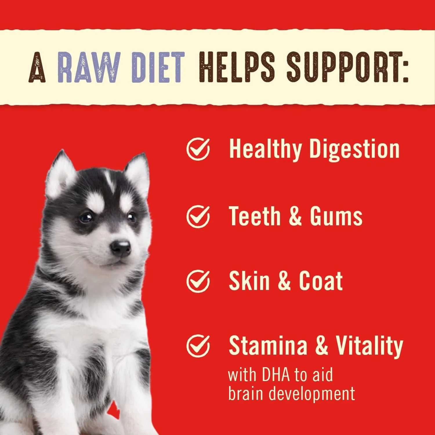Stella & Chewy's Freeze Dried Raw Dinner Patties  Crafted for Puppies  Grain Free, Protein Rich Perfectly Puppy Chicken & Salmon Recipe  5.5 oz Bag