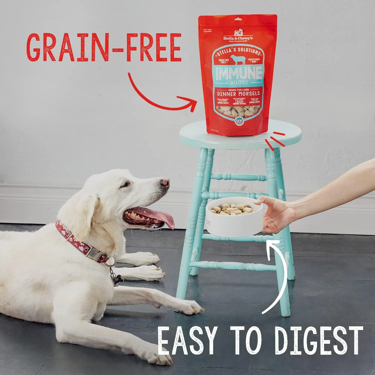 Stella & Chewy's Freeze-Dried Raw Dog Food for Digestive Health - Grass-Fed Beef Dinner Morsels - Natural Solution for Sensitive Stomach, Gas & Firm Stools - Premium Raw Nutrition - 13oz