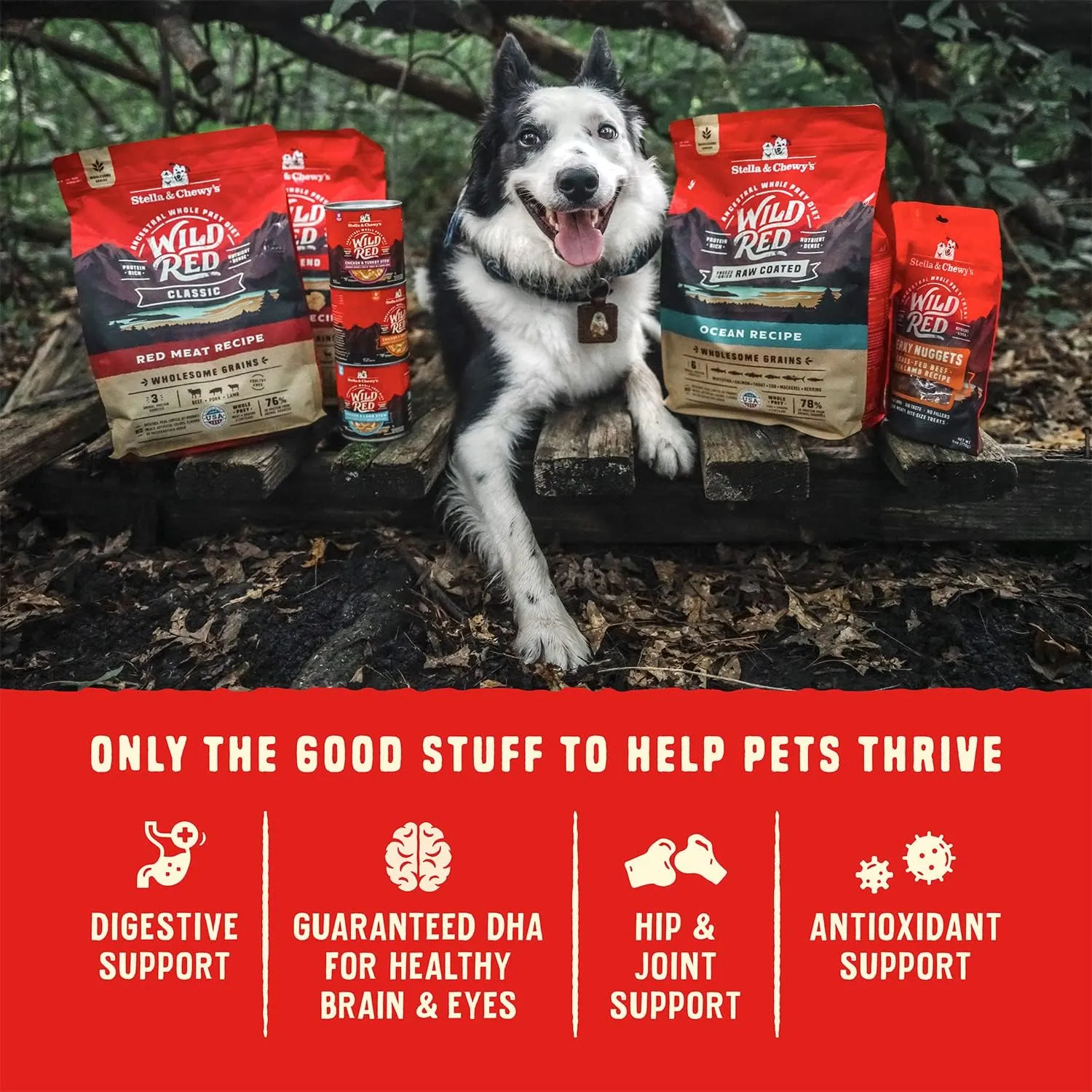 Stella & Chewy's Wild Red Dry Dog Food Raw Blend High Protein Grain & Legume Free Red Meat Recipe, 3.5 lb. Bag
