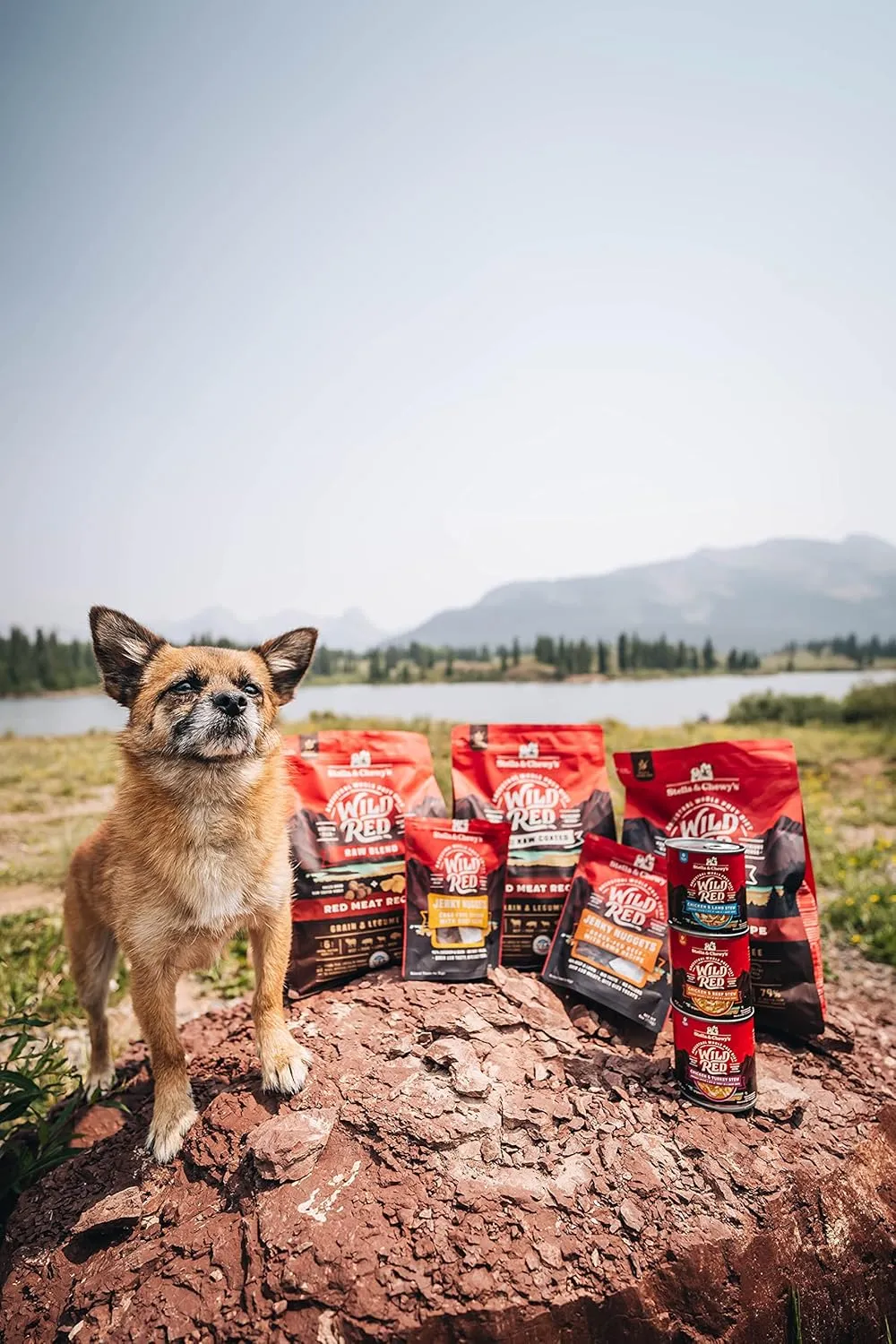 Stella & Chewy's Wild Red Dry Dog Food Raw Blend High Protein Grain & Legume Free Red Meat Recipe, 3.5 lb. Bag