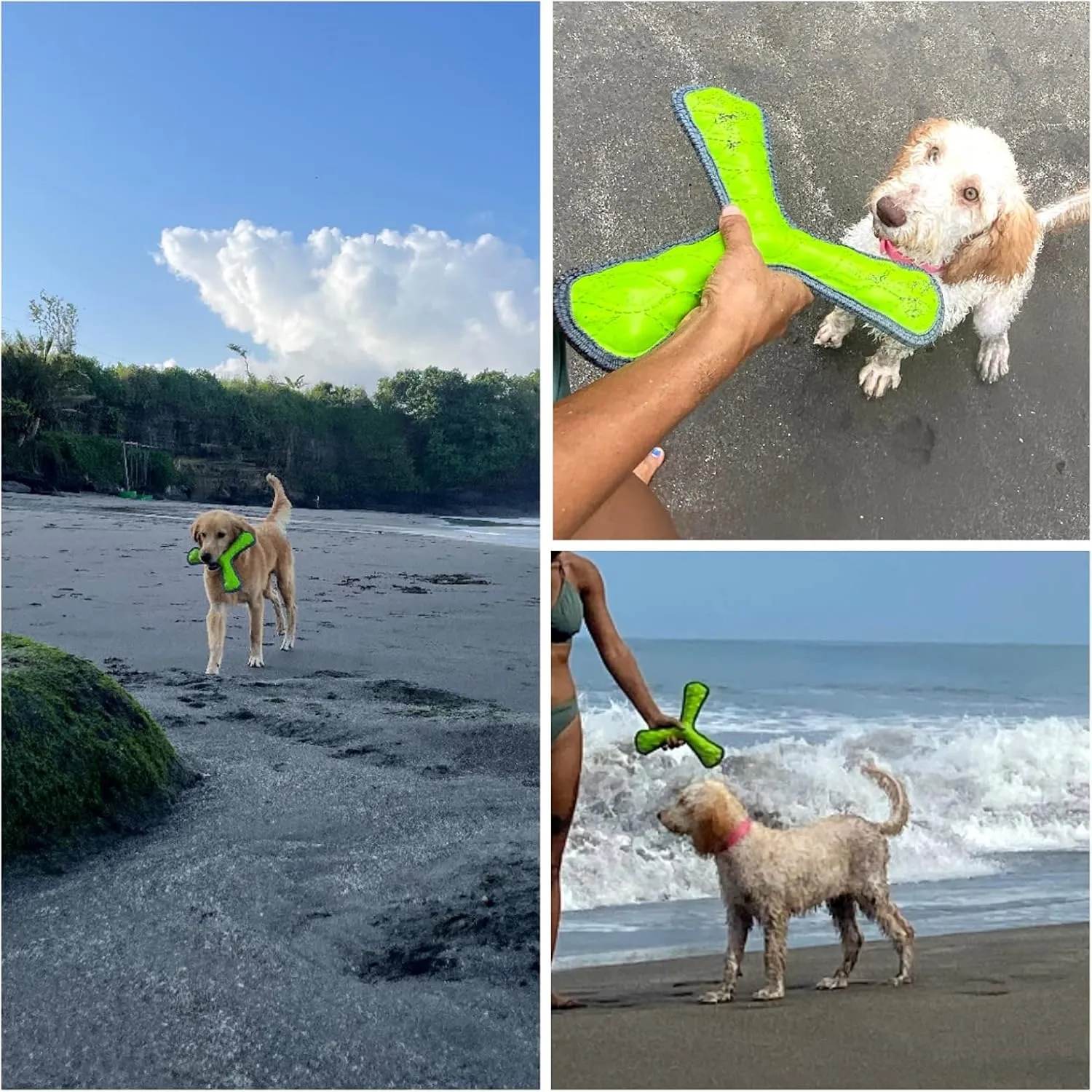SuperChewy Tough Floating Dog Water Toy Strong Natural Rubber | Great Dog Fetch Toy | Pool Swimming Toy for Puppy| Durable Training Toy for Non-Aggressive Chewers