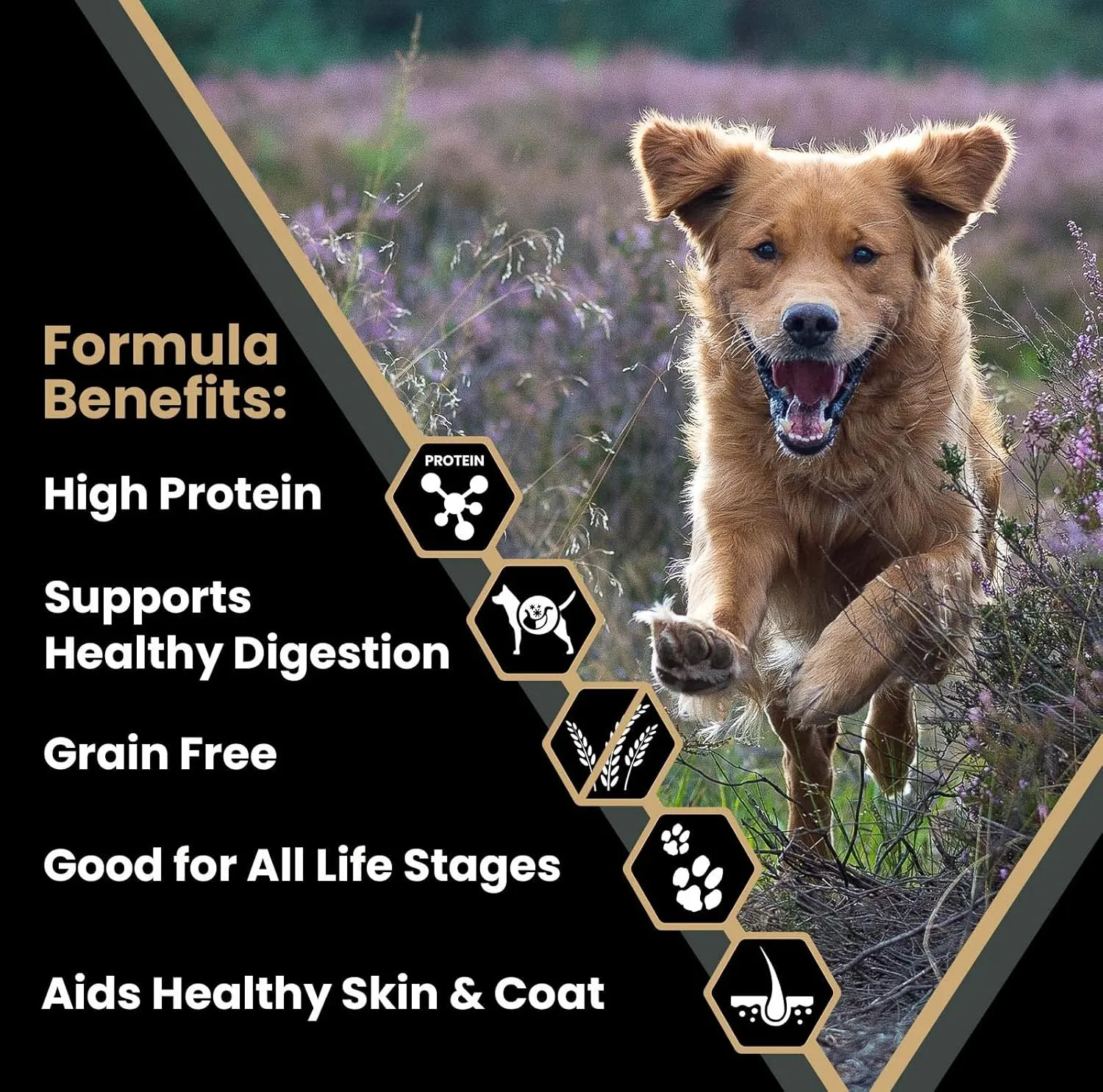 VICTOR Super Premium Dog Food  Grain Free Ultra Pro Kibble  High Protein, Low Carb for Active Dogs  42% Protein Kibble for Sporting Dogs of All Breeds & Sizes, 5 lb