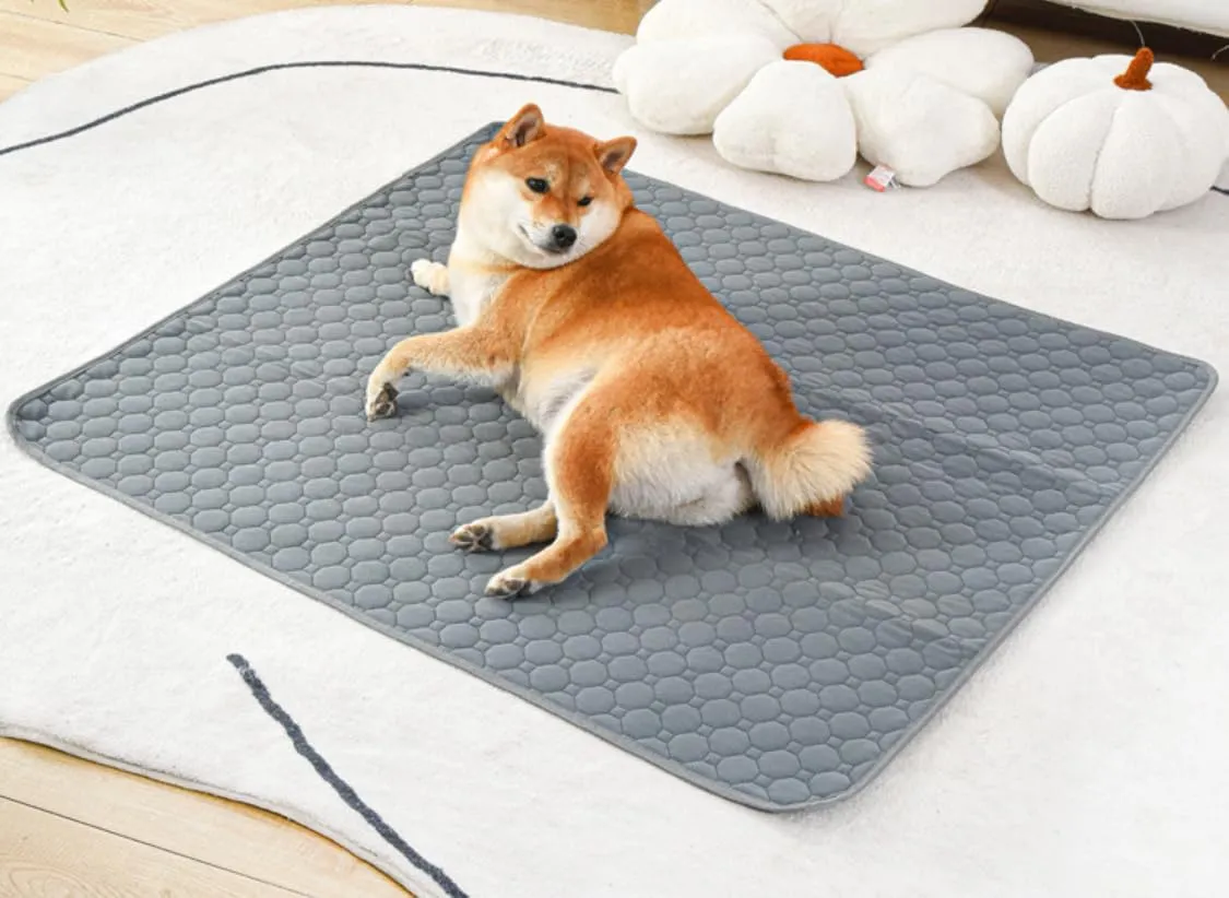 Waterproof Dog Bed Cover Blanket (Large)