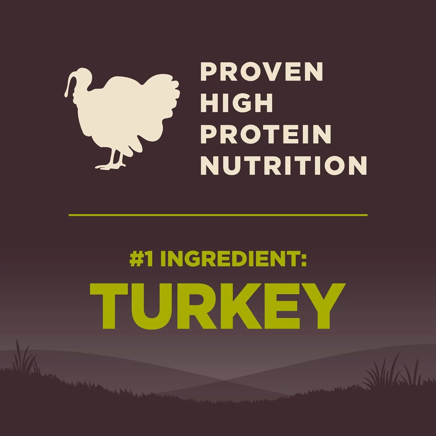 Wellness CORE Dry Dog Food, Small Breed, Grain-Free, High Protein, Natural, Healthy Weight Turkey & Chicken Recipe, (12-Pound Bag)