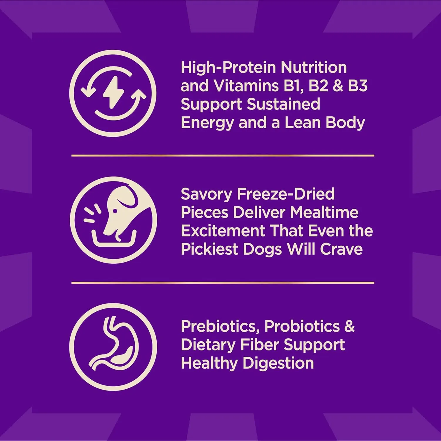 Wellness CORE  (Formerly RawRev) Dry Dog Food with Freeze Dried Pieces, Small Breed, Grain Free, High Protein, Natural, Original Turkey & Chicken Recipe, (10-Pound Bag)