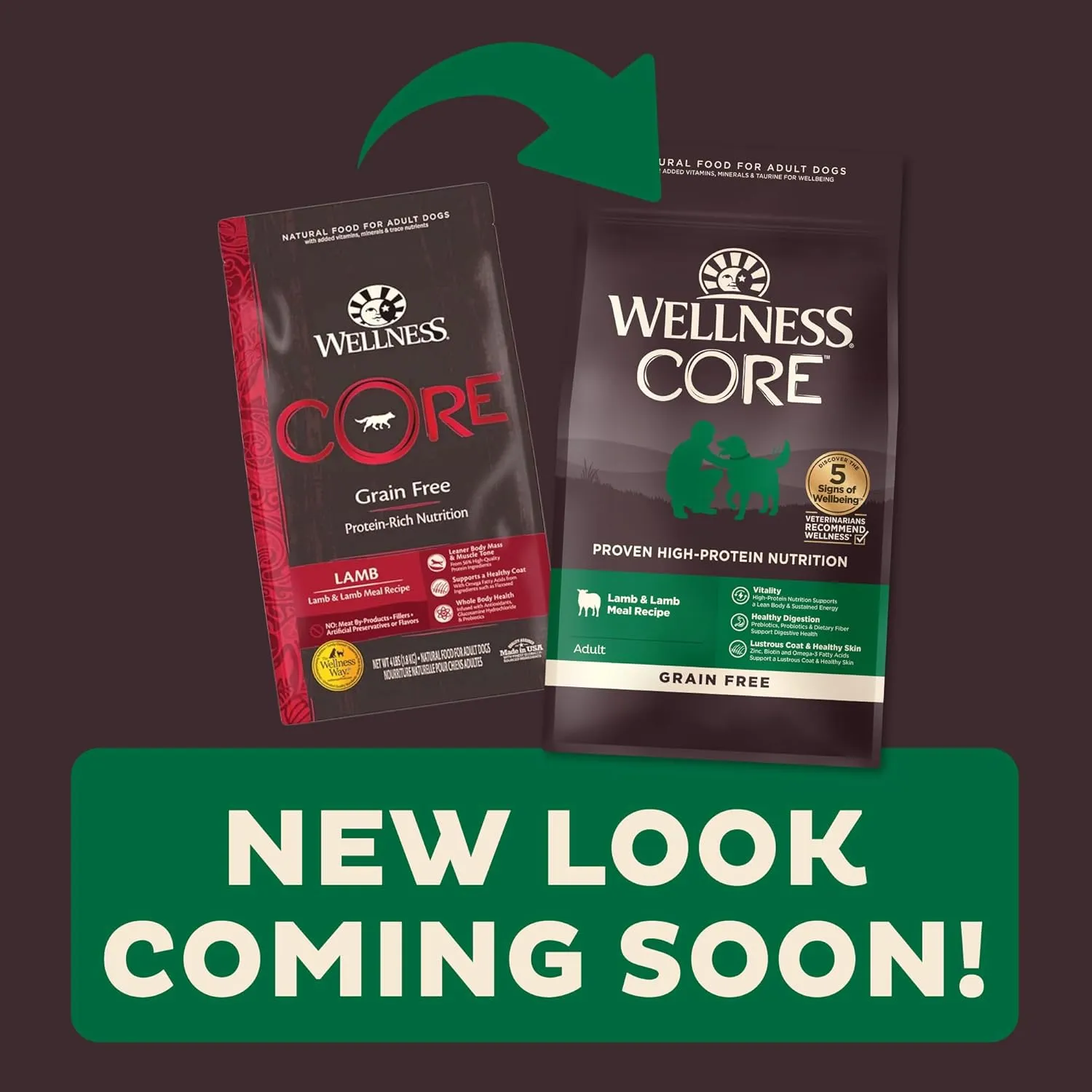 Wellness Core Natural Grain Free Dry Dog Food, Lamb, 4-Pound Bag (Pack of 2)