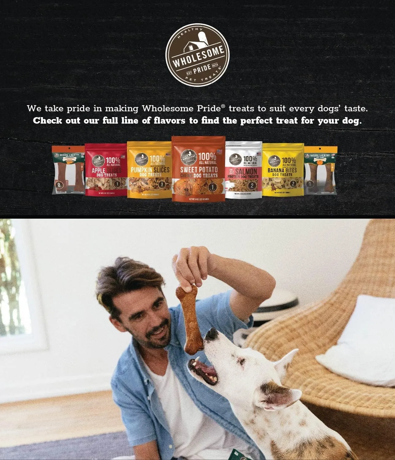 Wholesome Pride Natural & Healthy Pumpkin Highly Digestible Dog Chews, Large - 2 Pack